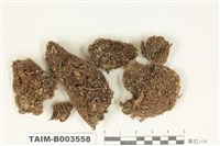 藏品(曲尾苔科)的圖片